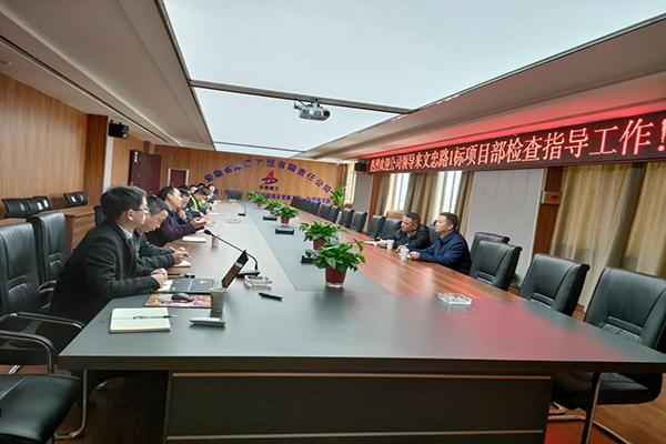 安徽路港公司党委副书记、总司理钱叶琳一行赴文忠路01标项目检查指导