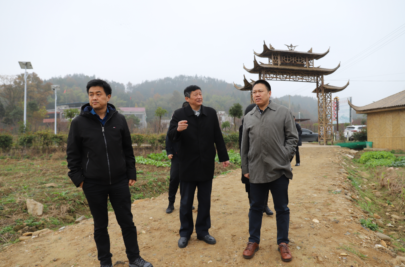 365英国上市控股副总司理霍向东、总执法照料申玉恩赴定点帮扶村开展走访慰问
