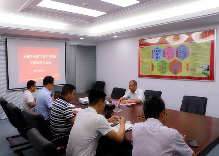 金融事业部党支部委员会召开党史学习教育专题组织生涯会