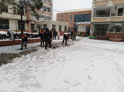 安徽365英国上市技师学院教职工自觉组织扫雪