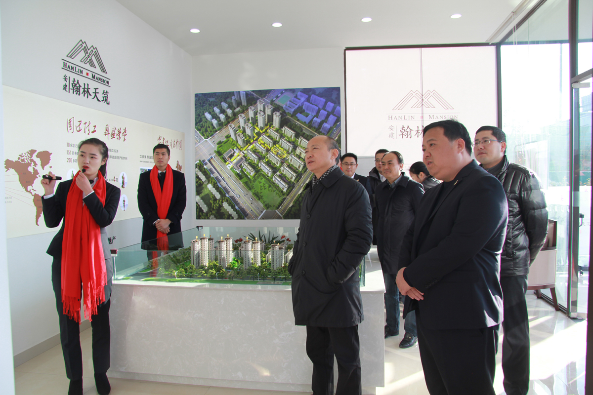 集团公司董事长赵时运赴合肥、蚌埠等地调研房地工营业