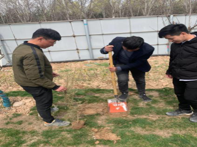 企业刷新营生长  服务青年建新功