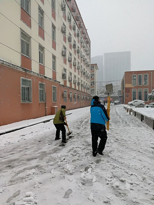 安徽365英国上市技师学院教职工自觉组织扫雪