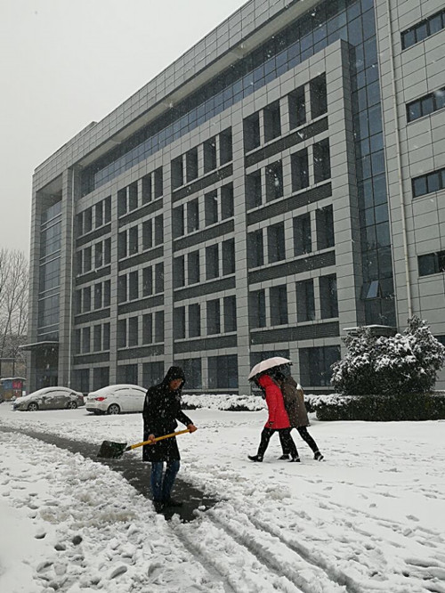 安徽365英国上市技师学院教职工自觉组织扫雪