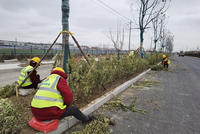 【人勤春来早 复工复产忙】路桥集团五分公司推动清静有序复工复产