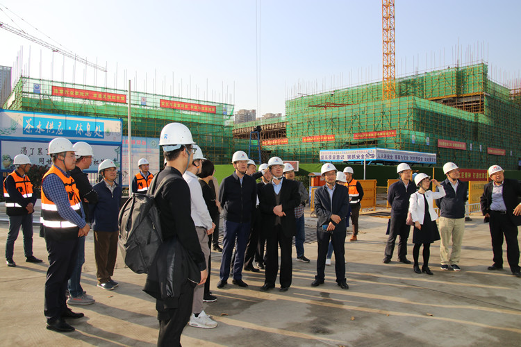 国家图书馆馆长饶权调研安徽三建合肥市中心图书馆项目