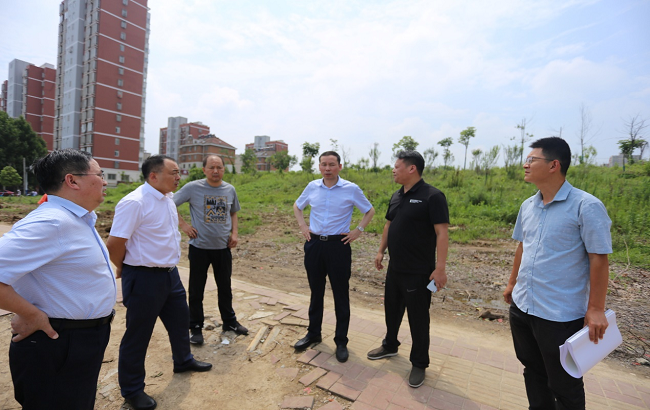 路桥集团党委书记、董事长盛明宏赴蜀山经开区山茶路、包公大道项目检查指导事情
