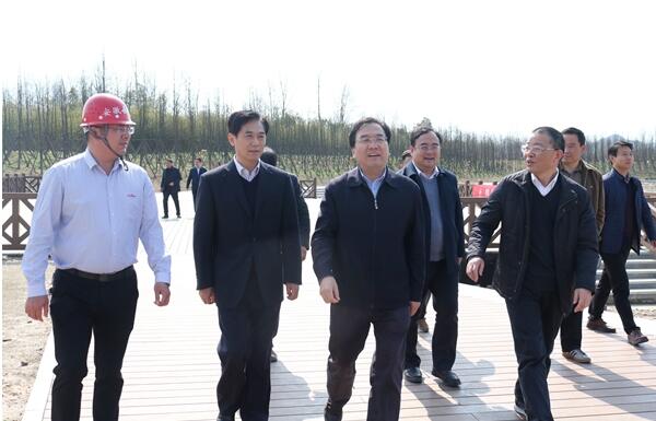 省委副书记信长星莅临泾县江心洲公园项目调研
