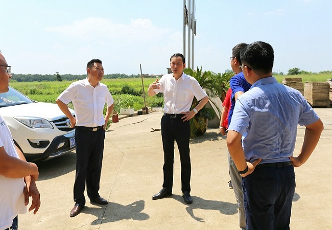 路桥集团党委书记、董事长盛明宏赴望江片区项目“送清凉”并调研