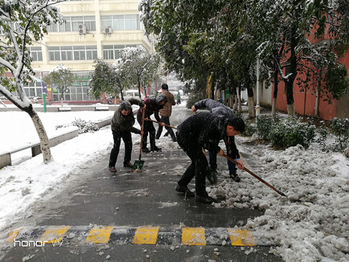 安徽365英国上市技师学院教职工自觉组织扫雪