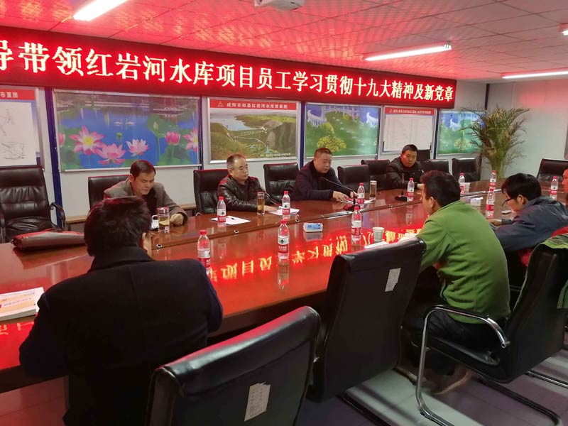 安徽水利：推动十九大精神在下层落地生根