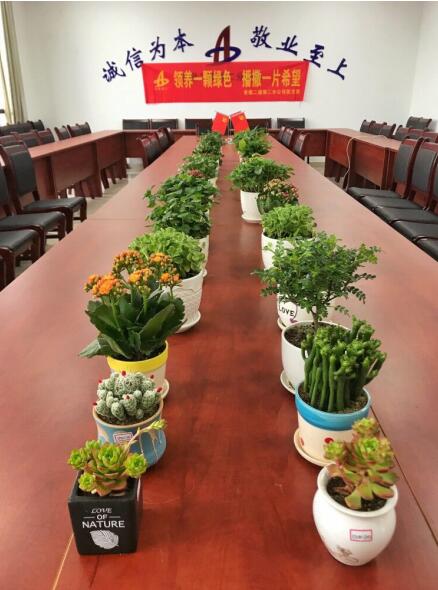 安徽二建二分公司团支部开展“绿植认领”活动