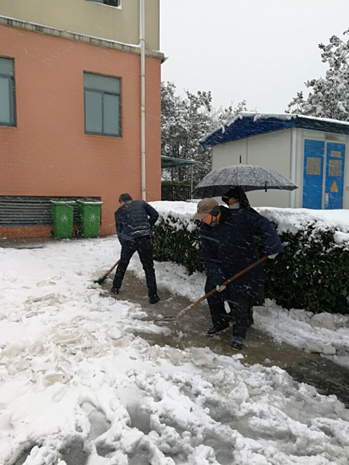 安徽365英国上市技师学院教职工自觉组织扫雪