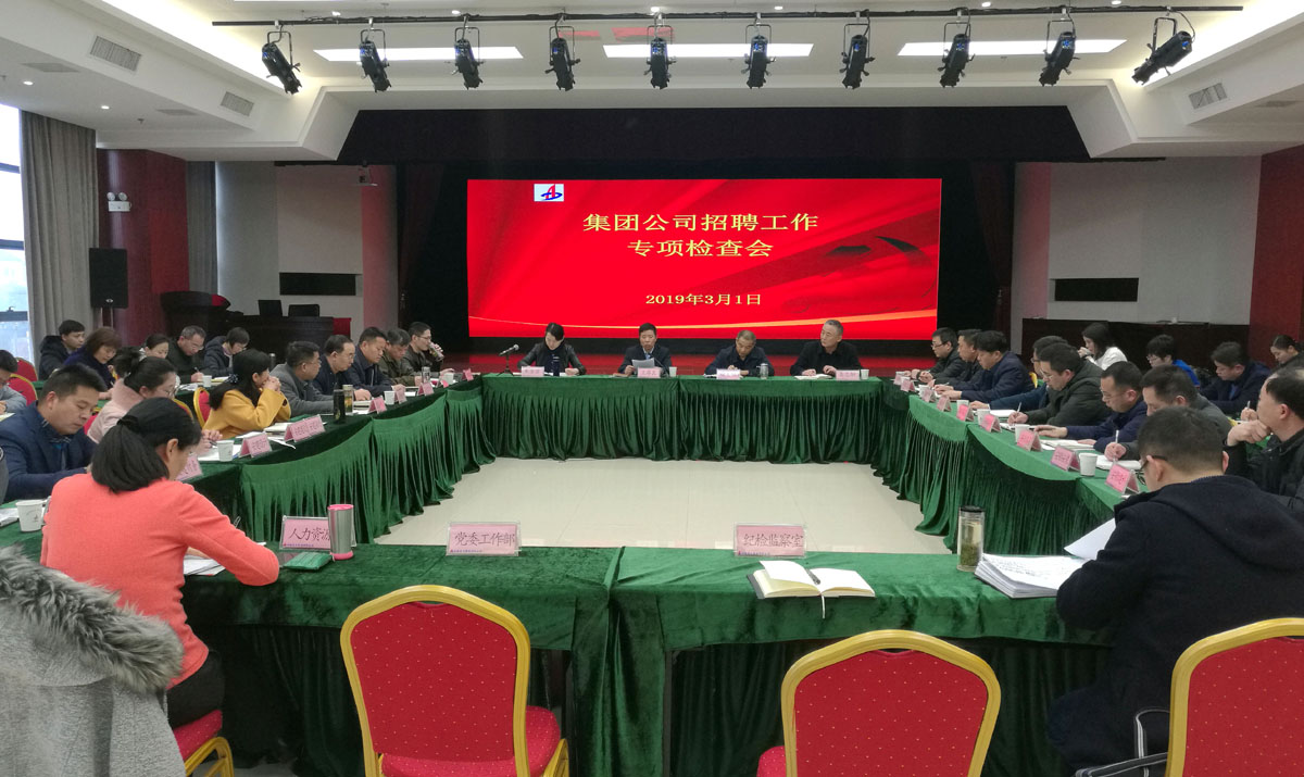 集团公司召开招聘事情专项检查会