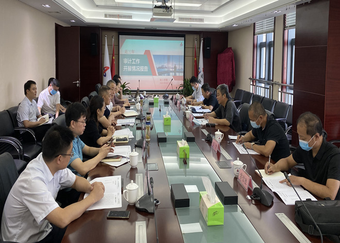 省审计厅向导到集团调研指导