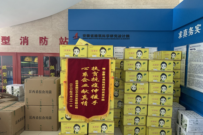 扶贫抗疫暖民心 一面锦旗表谢意