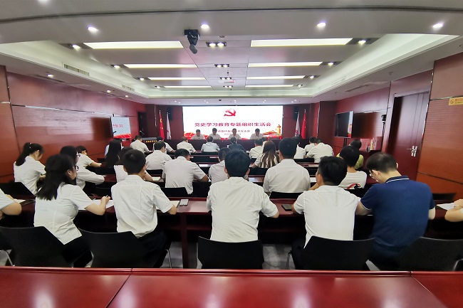路桥集团机关党支部召开党史学习教育专题组织生涯会