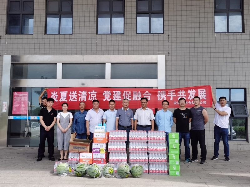 党建领航 乘风破浪——安建建材合肥分公司以建设“党员先锋号”为契机，，，，，奋力冲刺整年目的