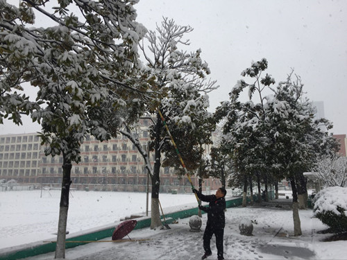 安徽365英国上市技师学院教职工自觉组织扫雪