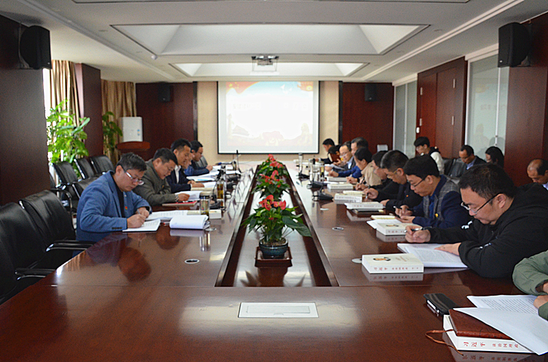 安建建材党委中心组学习党的十九届五中全会精神