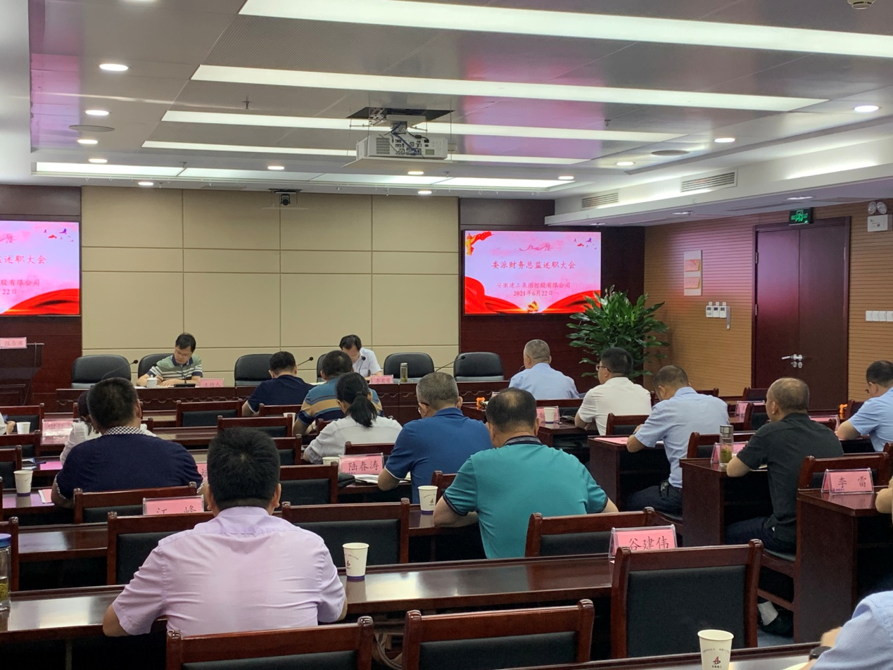 集团公司召开委派财务总监审核述职聚会