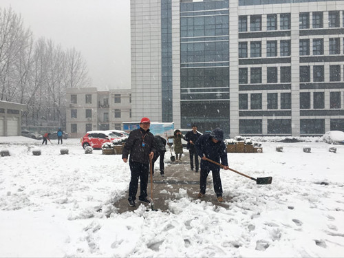 安徽365英国上市技师学院教职工自觉组织扫雪