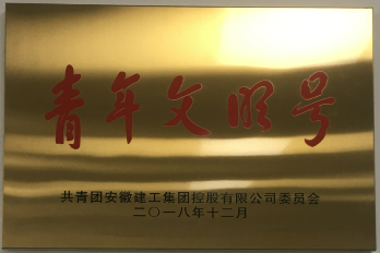 忠正诚信守初心 起劲有为担使命——记安建财务公司团支部先进事迹