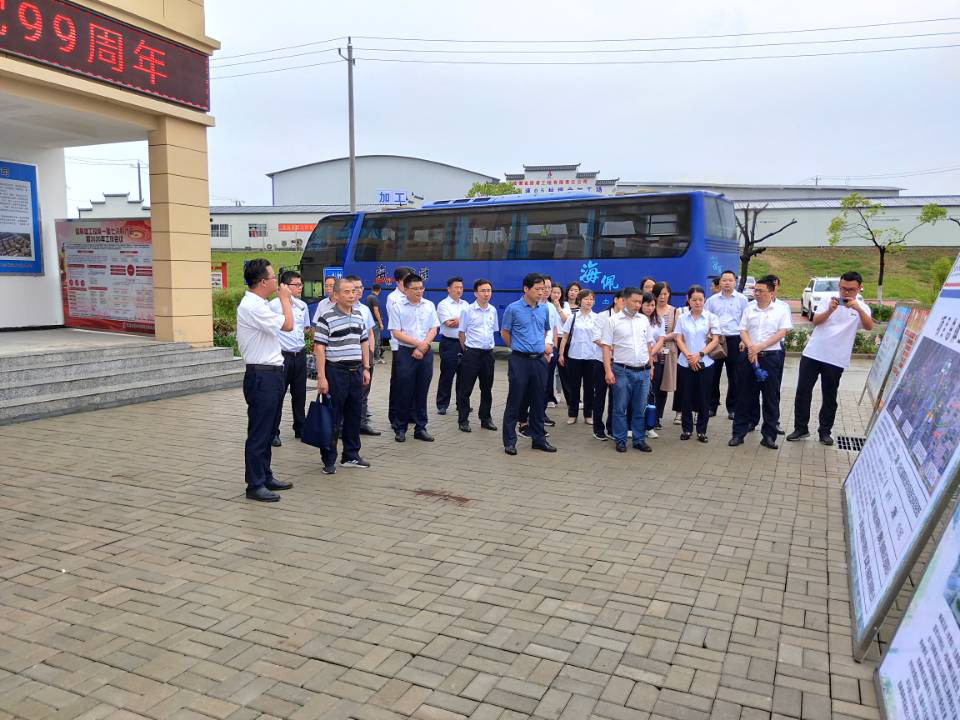 集团机关开展庆祝建党99周年表扬暨主题党日活动