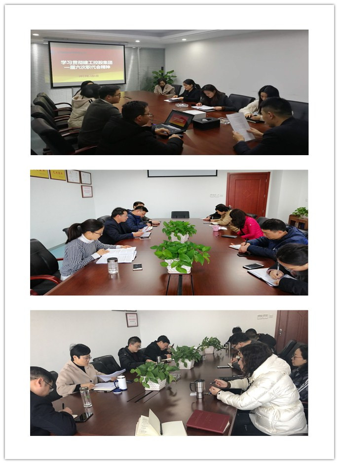 安建财务所属各党支部组织学习集团公司一届六次职代会暨2019年岁情会精神
