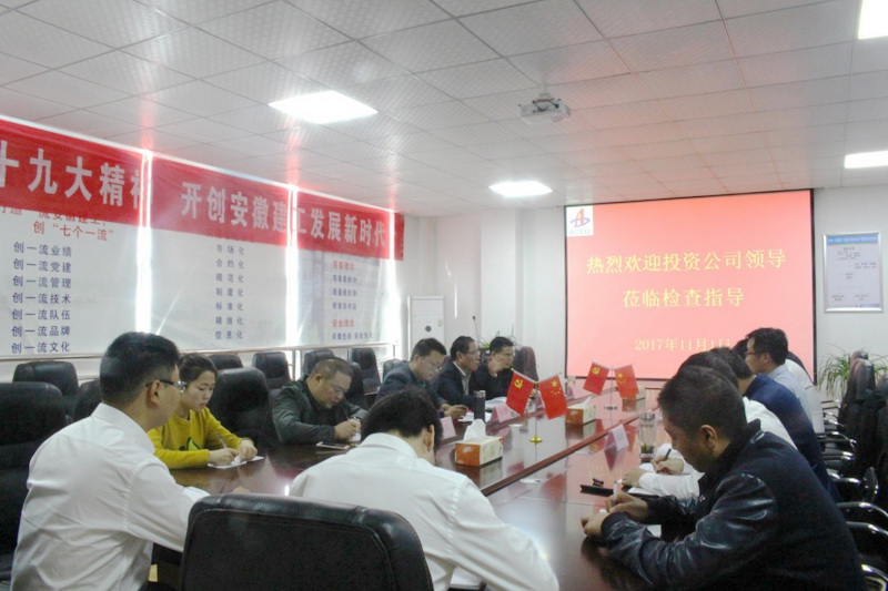 安建投资公司党总支书记余志刚赴舒城G206项目督查两个“十个专项”治理事情