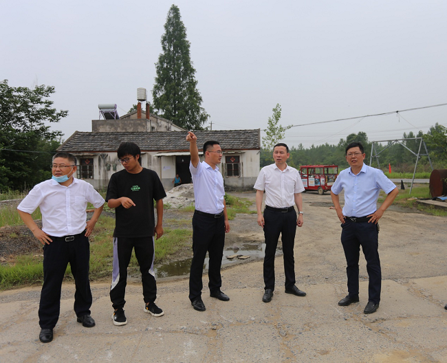 路桥集团党委书记、董事长盛明宏赴一分公司玉龙路、富贵大道项目调研