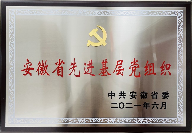 喜报！路桥集团党委荣获安徽省“先进下层党组织”