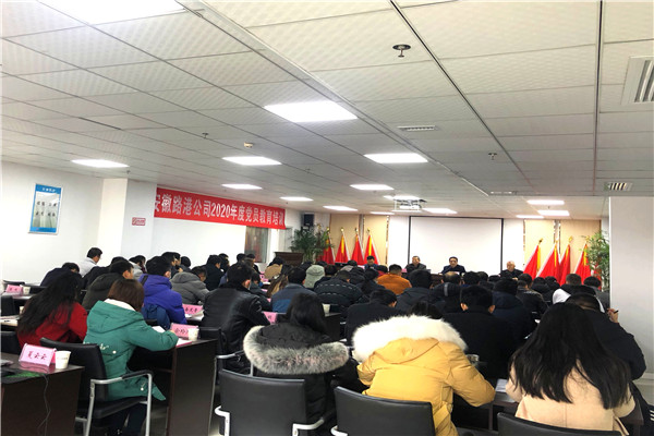 回首“十三五”，，，，，，开启新征程系列报道7：党建引领促生长 凝心聚力谱新篇 