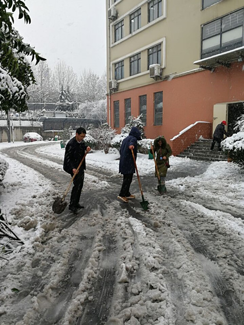 安徽365英国上市技师学院教职工自觉组织扫雪