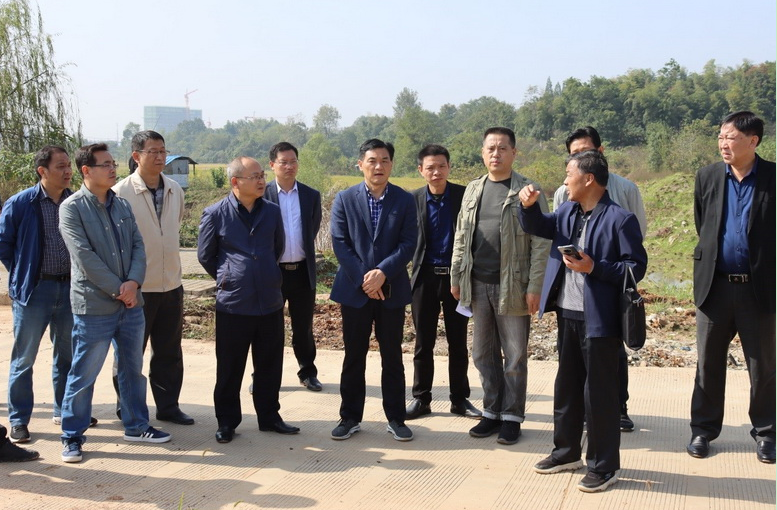 铜陵市义安区常务副区长陈洁赴铜陵PPP项目调研督导