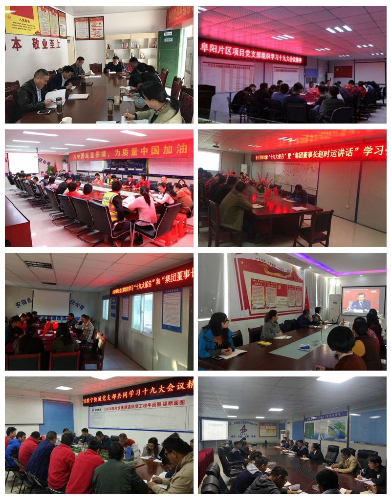 安徽路港认真学习宣传贯彻党的十九大精神