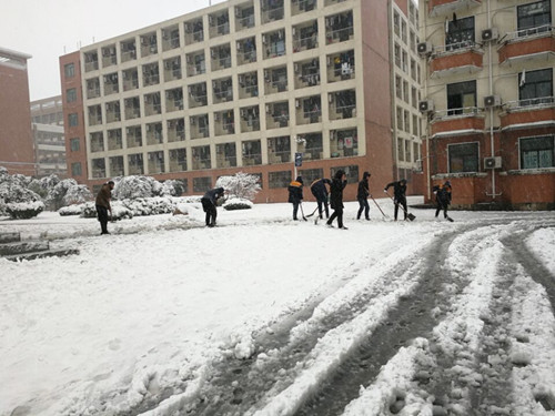 安徽365英国上市技师学院教职工自觉组织扫雪
