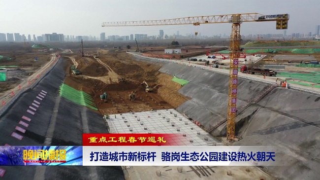 媒体聚焦‖合肥电视台报蹊径桥集团花园大道项目春节假期建设正酣！