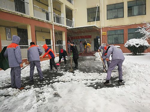 安徽365英国上市技师学院教职工自觉组织扫雪
