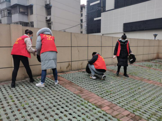 践行雷锋精神 弘扬文明新风