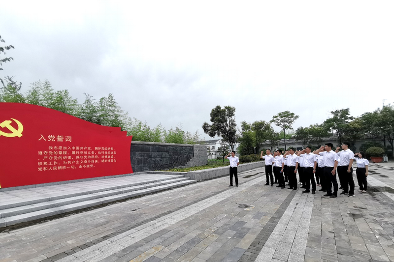 安建投资皖北片区联合开展“践悟初心使命，，，，弘扬小岗精神”主题党日活动