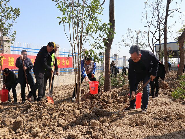 安徽路港各团支部组织青年自愿者开展义务植树活动