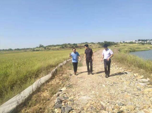 365英国上市控股副总司理霍向东赴定点帮扶村调研指导