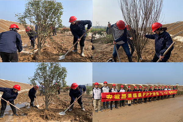 安徽路港“献礼建党100周年”系列报道2：公司各团支部开展“3&#8226;12植树节”活动