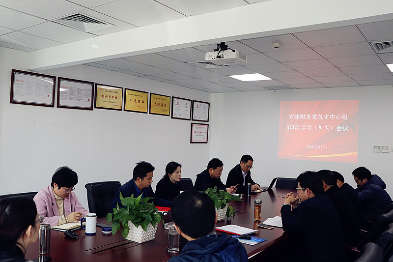 安建财务公司召开中心组学习会和推进整治形式主义权要主义专项行动会暨提防化解重大风险事情聚会