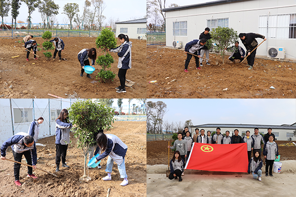 安徽路港公司各团支部开展“3&#8226;12植树节”活动