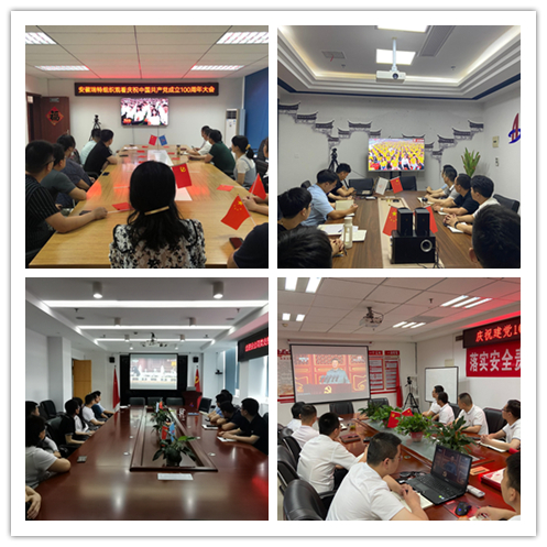 安徽365英国上市“学党史 庆百年 营生长”系列报道（十一）：学习百年党史 罗致奋斗实力