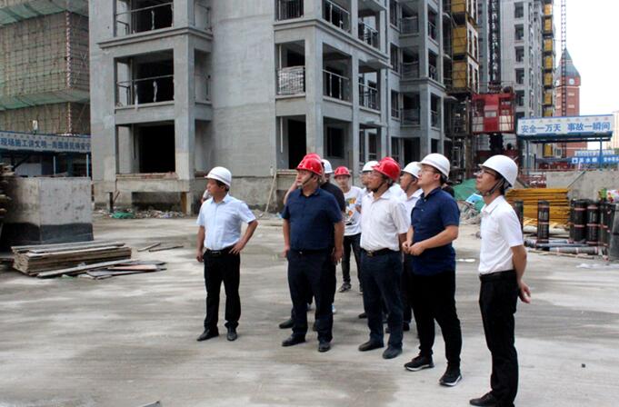 股份公司副总司理童宗胜赴安建地产阜阳公司开展主题教育调研并上党课