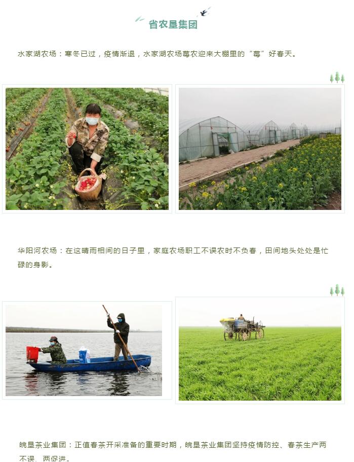 春风十里，，，，带你看江淮大地省企复工复产好风物