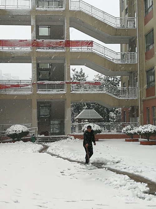 安徽365英国上市技师学院教职工自觉组织扫雪